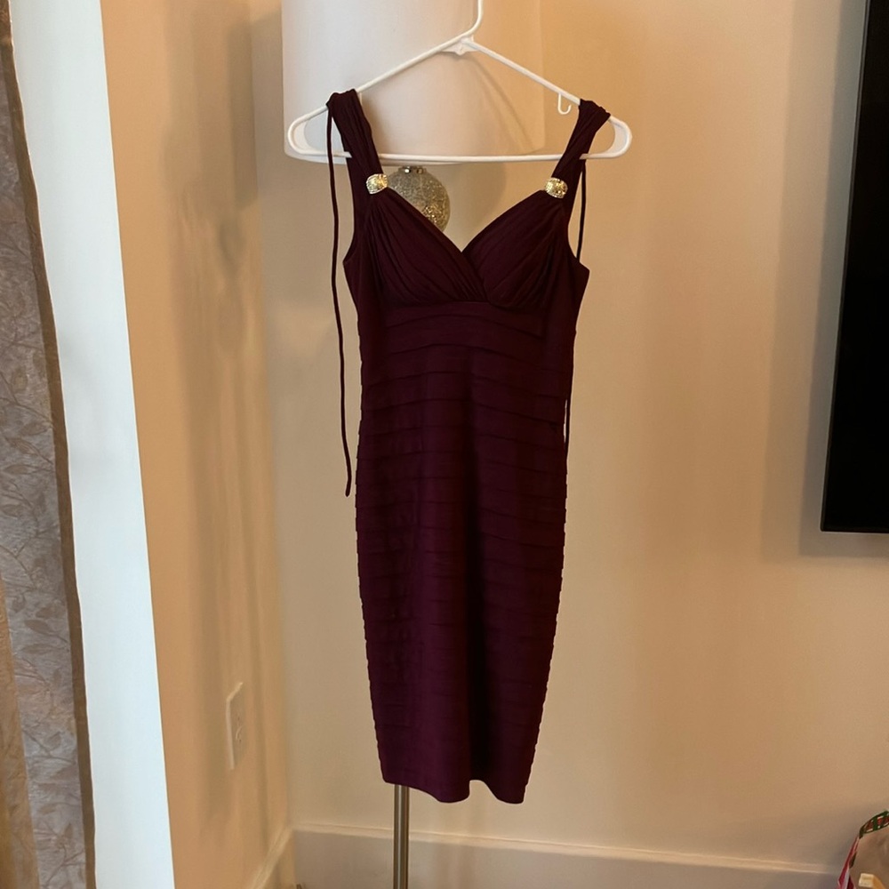Elegant Burgundy Dress